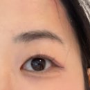 러버블리 | 범계 자연눈썹 잘하는 곳 러버블리 내돈내산 후기 💕