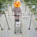 둘만농장 이미지