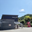 뱅골 | 가평 아침고요가족동물원 &amp; 아침고요수목원 패키지 방문 후기! 아이와 가볼만한 곳 추천