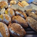 브레드창 이미지