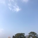 제주대박투어