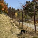 고매로43번길 이미지