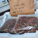 에로스파크 이미지