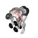 레이즈빌딩 이미지