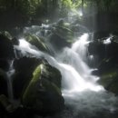 무주오리펜션 이미지