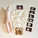 씨유대전웰니스병원점 | [임신 26주~32주] 행복한 배불뚝이 임신후기 입성│활발해진 태동│입체초음파│태교여행│셀프 만삭촬영