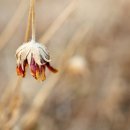 수레와바퀴 이미지