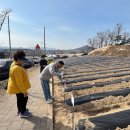 텃밭가꾸기 이미지