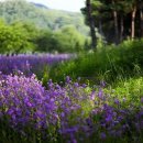 사단법인누가참의원 이미지
