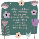 그로더