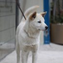 소망축산 이미지