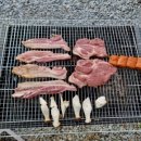 소백산계곡펜션민박 이미지