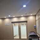 오앤피 | 펫츠오앤피 척추보조기 구매후기