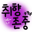 쏠아지트 이미지