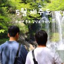 칠절리 | 5월 제주도 가볼만한 곳 추천 천제연 폭포 입장료 주차장