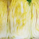 남쪽창고농수산물협동조합 이미지