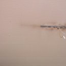 청호동식당 이미지