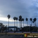 씨사이드아덴 이미지