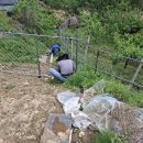 숲깊은 농장 이미지