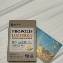 옥신약국 | 비윗유 프로폴리스 캔디 | 목감기 예방 약국 프로폴리스캔디