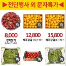청년식자재마트