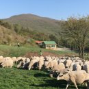 삼육목장 이미지