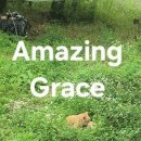 Amazing Grace 이미지