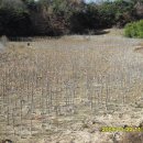 매곡농장 이미지