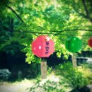 메고지고효정점 | 20120517 : 봄의 끝자락.. 고창 선운사..