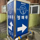 청해원 | 제주 성산맛집 갈치조림 한상, 제주로운 청해원 후기