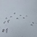 승구농장 이미지