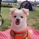 성신인쇄 - 영등포구 | 성신인쇄