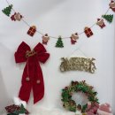 수수펫살롱 이미지