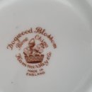 도그 블라썸 이미지