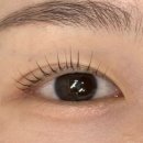 롯데리아 파주운정점 | 운정 속눈썹펌 2만원 파주속눈썹펌 다뮤브로우 솔직후기