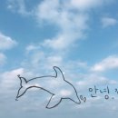 보름닭집 이미지