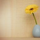 피해망상적 신앙인이 되지 않으려면? 이미지