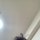 신기의료기사하점 | 일본 오사카 교환학생 3주차: 애인 생김ㅋㅋ (surprise^^)