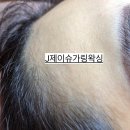 제이슈헤어 이미지