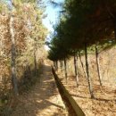 진밭입구 Daum카페