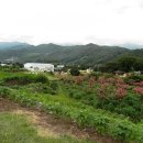 원촌교차로 이미지