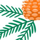 하이드파크 이미지