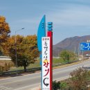 동강수산장어 이미지