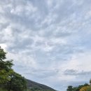 공치는날 이미지