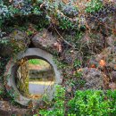 삼달2리경로당 이미지