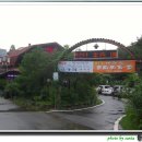 대관령동태찌개 이미지