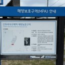 태안 여행 신두리 해안사구 포토존 추천 이국적인 사막 느낌