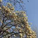 저동초등학교 | 일산 밤리단길 웨이팅 맛집 춘천명동1번지닭갈비 본점 첫방문 후기