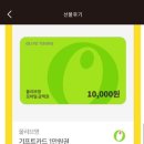 꿈꾸는키키 | 멜라토닌 먹고 꾸는 꿈