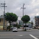 가로수주유소 이미지